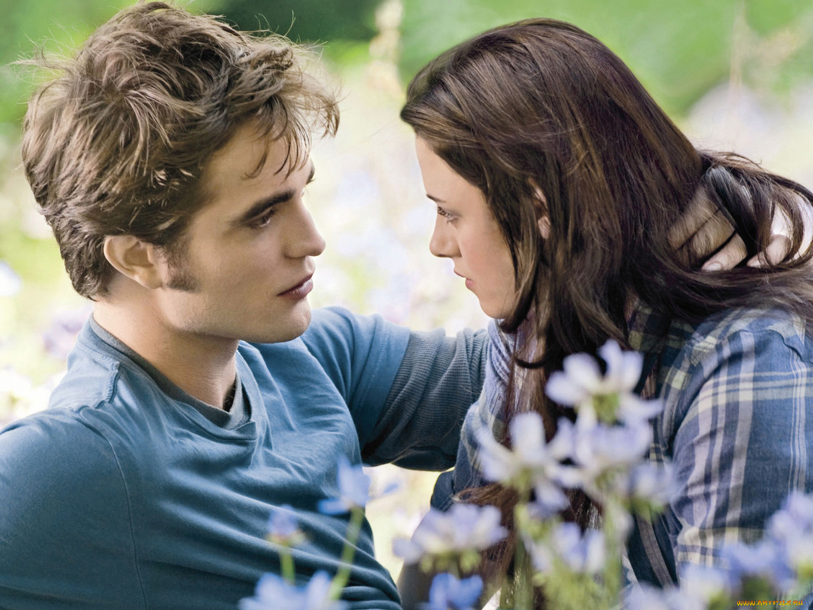 the, twilight, saga, eclipse, , 
